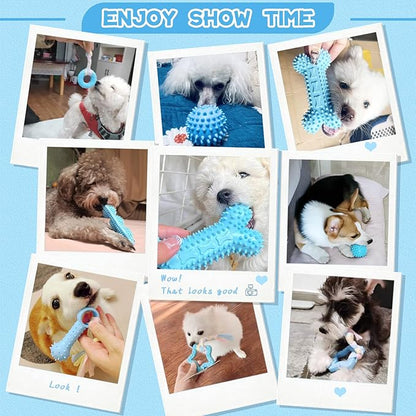 Petcare 6 Pack Puppy Chew Toys - Blue, Soft Rubber Rope & Bone Ball Teething Toys for Small Dogs & Puppies, Including Yorkie