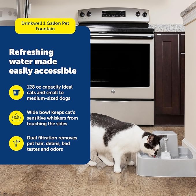 PetSafe Drinkwell Pet Fountain - Cat & Dog Hydration Station with Free-Falling Water Stream & Customizable Flow - Encourages Hydration & Protects Sensitive Whiskers - 1 Gallon