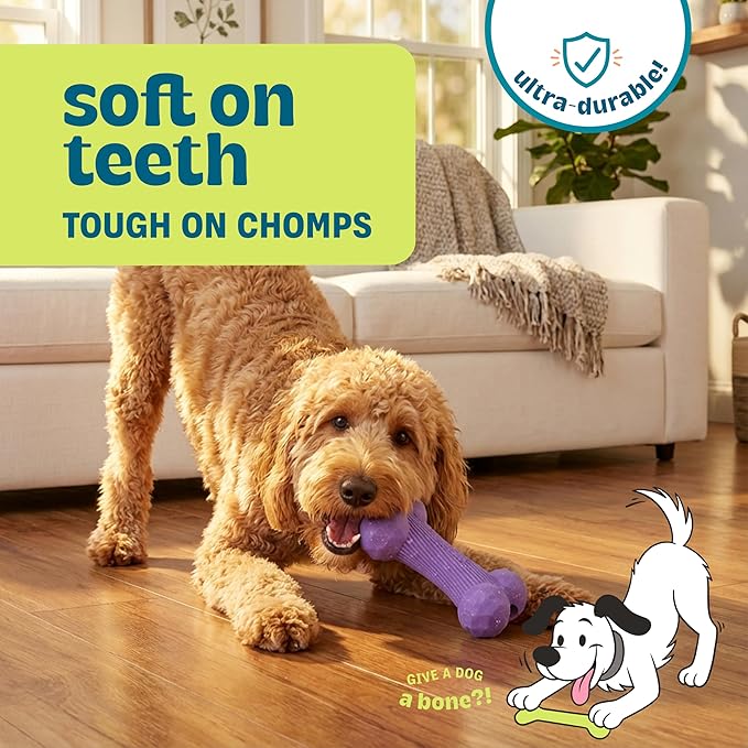 Pupstages Flex-Force Bone Dog Toy - Fetch & Chew, Aggressive Chewers, Multi-Texture with Unpredictable Bounce, Floats in Water, Vanilla-Cappuccino Scent, Medium & Large Breeds, 6.5" x 3.1"