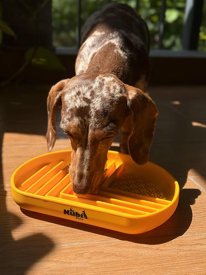 Snack Dish Slow Feeder Bowl for Dogs & Cats – Dual Pattern Design with Treat Corner, Mess-Free Feeding, Dishwasher Safe | Kubi Pets