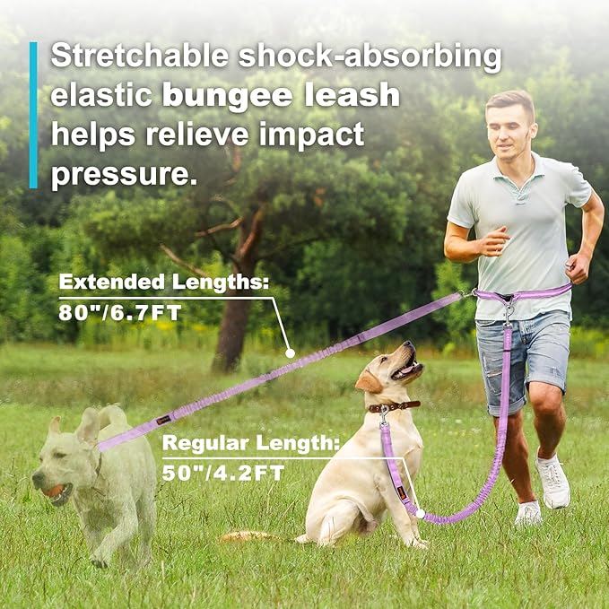 Hands Free Dog Leash, Adjustable Waist Leash for Dog, Handle Bungee 4.2-6.7 Feet Long with Reflective Stitches for Walking Hiking Running, Fits 26"- 43" Waist, Light Purple