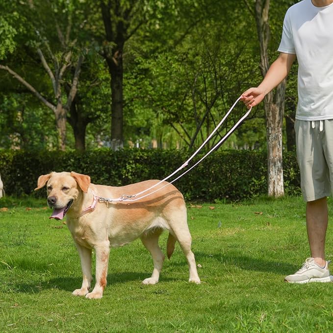 Waterproof Dog Leash with Poop Bag Holder, 5FT/6FT Adjustable Length with 2 Swivel Hooks, Odor-Free & Easy-Clean Dog Lead for Large Medium Small Dogs