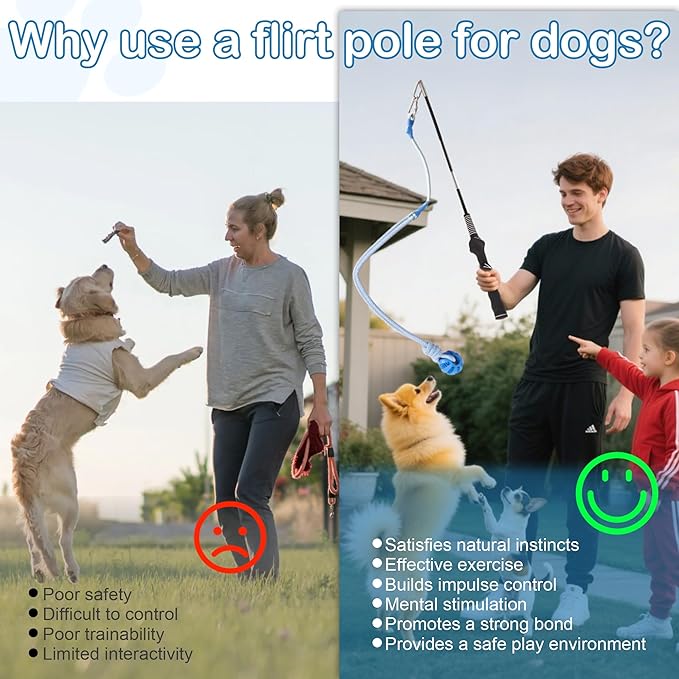 Flirt Pole for Dogs Interactive Dog Pole Toy for Large Medium Small Dogs, Sports Dog Teaser Pole for Tug of War, Flirt Pole with Lure Ball (Standard Pole + Elastic Rope)