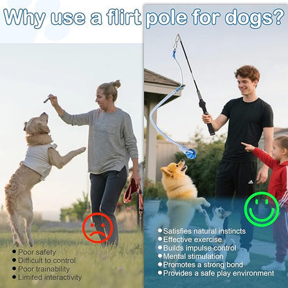 Flirt Pole for Dogs Interactive Dog Pole Toy for Large Medium Small Dogs, Sports Dog Teaser Pole for Tug of War, Flirt Pole with Lure Ball (Standard Pole + Elastic Rope)