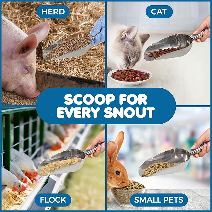 SunGrow Large Cat Litter and Food Scoop, Life Transforming 2-in-1 Scooper, Reduces Hand Fatigue, Saves Clear Litter, Makes Scooping Faster and Easier (Silver, Small)