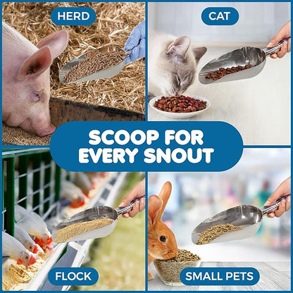 SunGrow Large Cat Litter and Food Scoop, Life Transforming 2-in-1 Scooper, Reduces Hand Fatigue, Saves Clear Litter, Makes Scooping Faster and Easier (Silver, Small)