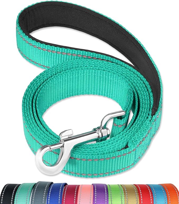 FunTags 4FT Reflective Dog Leash with Soft Padded Handle for Training,Walking Lead for Large & Medium Dog,1 Inch Wide,Turquoise