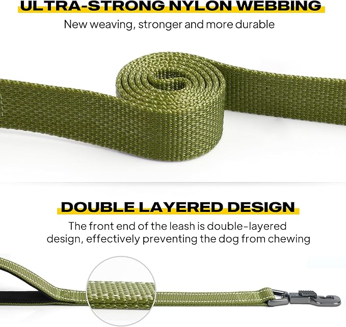 Fida 5 FT Heavy Duty Dog Leash with 2 Comfortable Padded Handles, Traffic Handle & Advanced Easy Snap Hook, Reflective Walking Lead for Large, Medium & Small Breed Dogs, Green