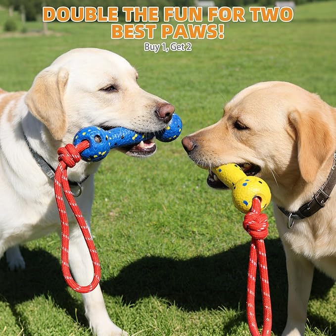 KOOLTAIL Floating Dog Pool Toys, Tough Interactive Water Fetch Bumpers with Durable Rope for Small Medium Large Dogs, 2 Pack Bright Dog Chew Toys Summer Outdoor Training Teething, Yellow&Blue