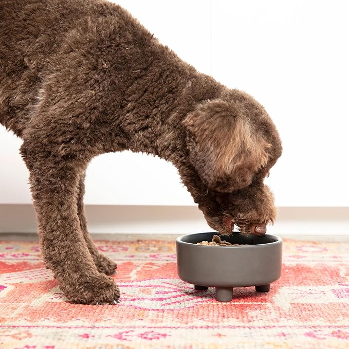 Waggo Uplift Ceramic Dog Bowl for Small Medium and Large Breeds - Set of 2 Heavyweight and Durable Pet Food and Water Dish Crock, Dishwasher Safe, Modern, Elevated Feeder (Black, Large)