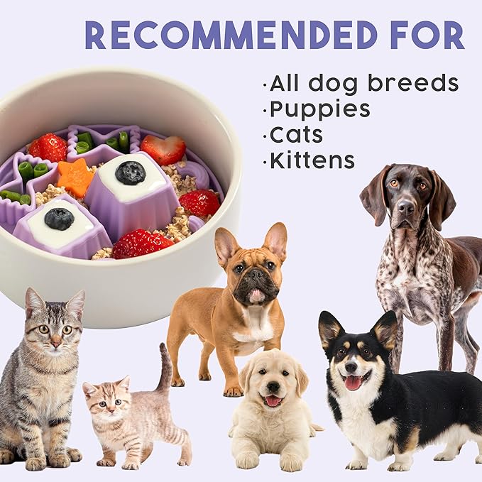 Awoo Snackaroni - Silicone Slow Feeder for Dog Bowls Over 5.5-Inches - Non-Slip, Wet and Dry Food-Compatible Pet Dish with Suction Cups - Extends Mealtime for Fast Eaters - Dishwasher Safe (Lavender)