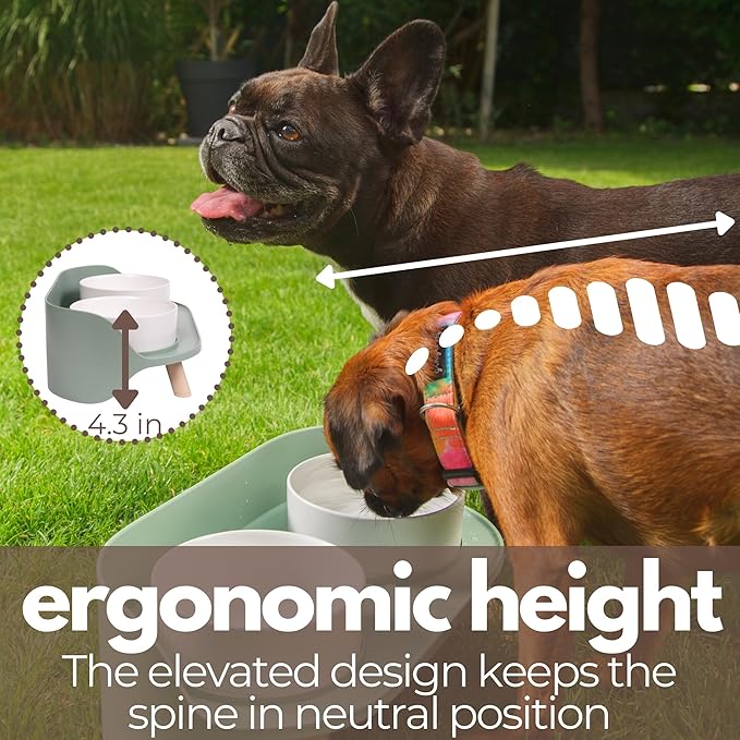 A4DOG Ceramic Dog Bowls with Stand - Elevated Dog Water and Food Bowl Set 13.5oz Cat & Dog Feeding Station Spill Proof Splash Proof Raised Pet Food Bowls for Dogs, No Mess Pet Feeder - Green