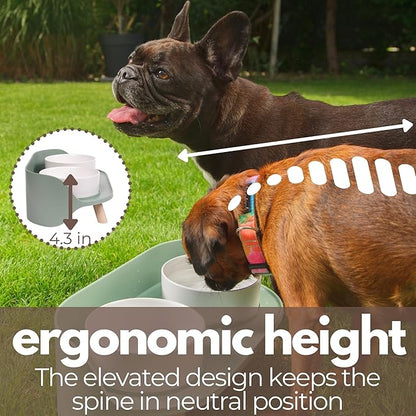 A4DOG Ceramic Dog Bowls with Stand - Elevated Dog Water and Food Bowl Set 13.5oz Cat & Dog Feeding Station Spill Proof Splash Proof Raised Pet Food Bowls for Dogs, No Mess Pet Feeder - Green