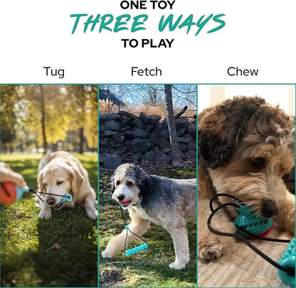 Dog Ball with Rope – Durable TPR Chew Toy for Tug, Fetch & Dental Cleaning – Treat Dispensing Interactive Toy for Small, Medium & Large Dogs – Indoor Outdoor Play Training by Tail Town
