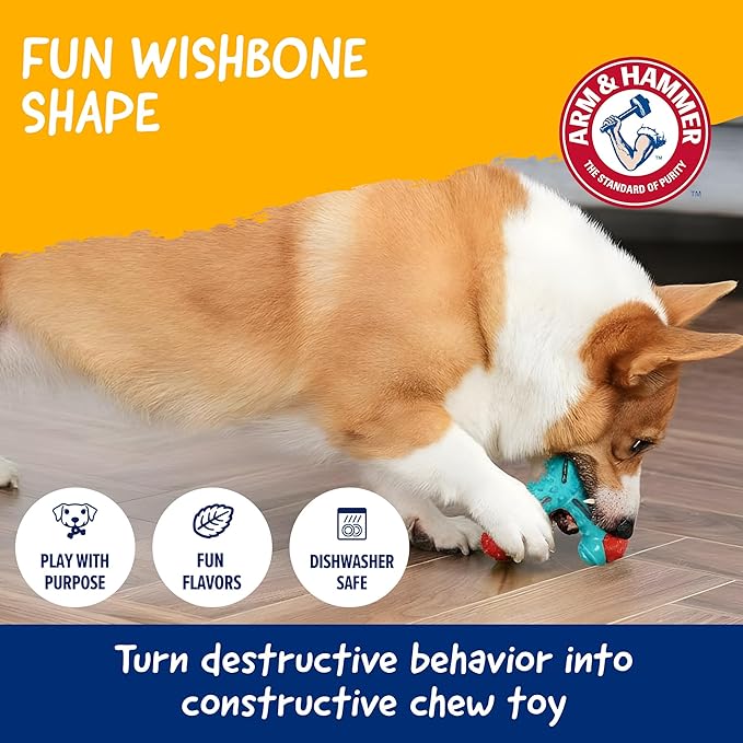 ARM & HAMMER for Pets Nubbies Wishbone Dog Dental Toy| Best Dog Chew Toy for Moderate Chewers | Dog Dental Toy Helps Reduce Plaque & Tartar | Chicken Flavor Baking Soda (Pack of 24)