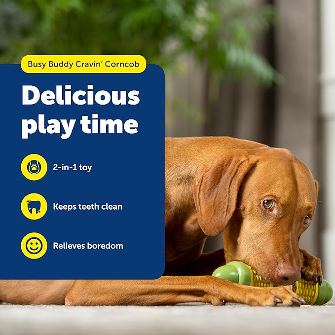 PetSafe Busy Buddy Cravin' Corn - Adjustable Slow Feeder Toy with Refillable Treat Rings - Cleans Teeth & Gums, Cures Boredom & Slows Down Eating Habits - Medium/Large - for Dogs 50+ lb