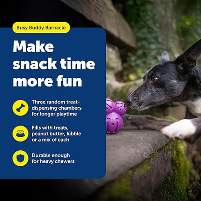 PetSafe Busy Buddy Barnacle - Treat Dispensing Dog Toy for Mental Stimulation - Natural Rubber - Durable Construction - Dishwasher Safe - Treat Meter Technology - Perfect for Peanut Butter - Large