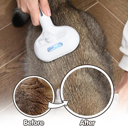 Katoggy Spray Cat Brush, Self Cleaning Dog Steam Brush, Easy To Clean, Remove Static Flying Hair Steam Grooming for Cats and Dogs