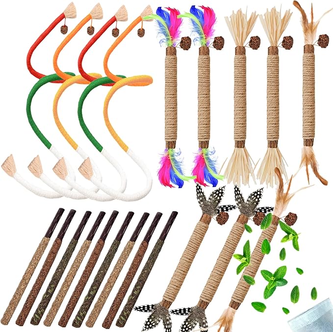 Cat Toys 21PCS Catnip Toy for Indoor Kitten Toys Cat Chew Stick for Dental Cleaning Teeth Cat Silvervine Matatabi Rope Treat Kitty Feather Snack for for Kick Molar Scratch Self Play