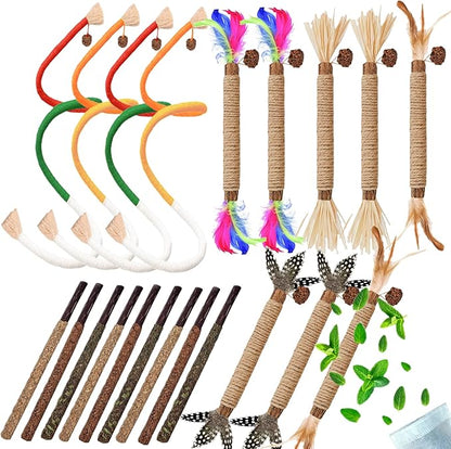 Cat Toys 21PCS Catnip Toy for Indoor Kitten Toys Cat Chew Stick for Dental Cleaning Teeth Cat Silvervine Matatabi Rope Treat Kitty Feather Snack for for Kick Molar Scratch Self Play
