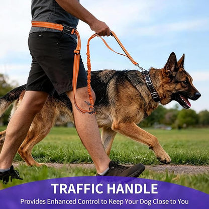 Kazazoo Hands-Free Dog Leash with 5.5-8.5FT Adjustable Length - Heavy Duty No Pull Bungee Design, Reflective Safety for Walking, Jogging & Training | Suitable for Medium to Large Dogs,M Size-Orange