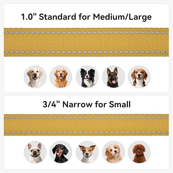 Joytale Dog Leash, 6 FT Double-Sided Reflective, Padded Handle Nylon Heavy Duty Leashes for Medium & Large Dogs Walking, Khaki