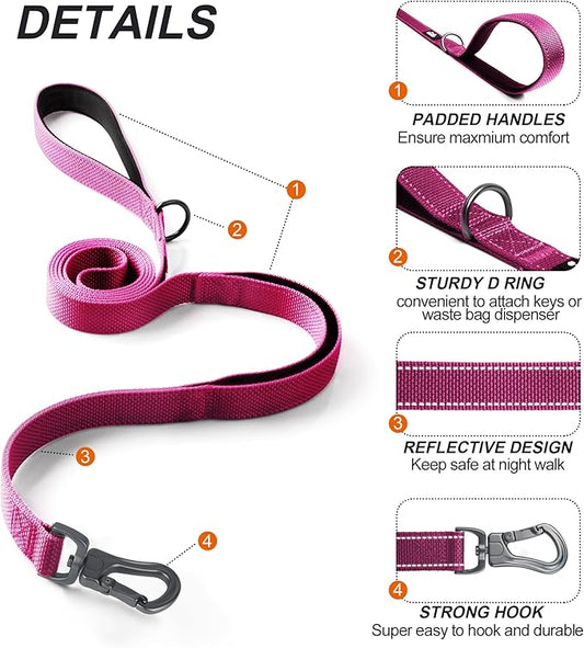 TwoEar 6FT 1IN Strong Rose Dog Leash with 2 Padded Handles, Traffic Handle Extra Control, Comfortable Soft Dual Handle, Auto Lock Hook, Reflective Walking Lead for Small Medium and Large Dogs