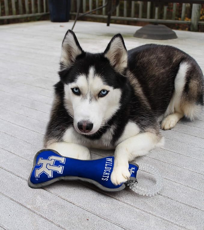 Pets First NCAA Kentucky Wildcats Dental Dog TUG Toy with Squeaker. Tough PET Toy for Healthy Fun, Teething & Cleaning Pets Teeth & Gum
