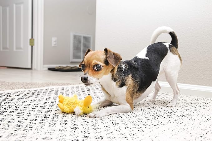 KONG - Plush, Low Stuffing Squeak Duck Dog Toy - Replacement Squeaker Included- For Small Dogs