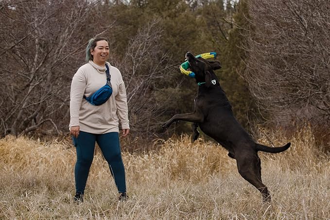 Ruffwear, Pacific Loop Dog Toy, Interactive Tug Toy for Playing and Training, Aurora Teal
