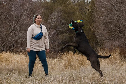 Ruffwear, Pacific Loop Dog Toy, Interactive Tug Toy for Playing and Training, Aurora Teal