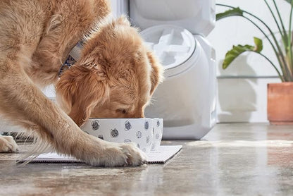 Pearhead Ceramic Dog Bowl Extra Large 8 Cup – Puppy Faces Pattern, Durable Heavyweight Pet Food & Water Bowl, Neutral Modern Design, XL 64 oz