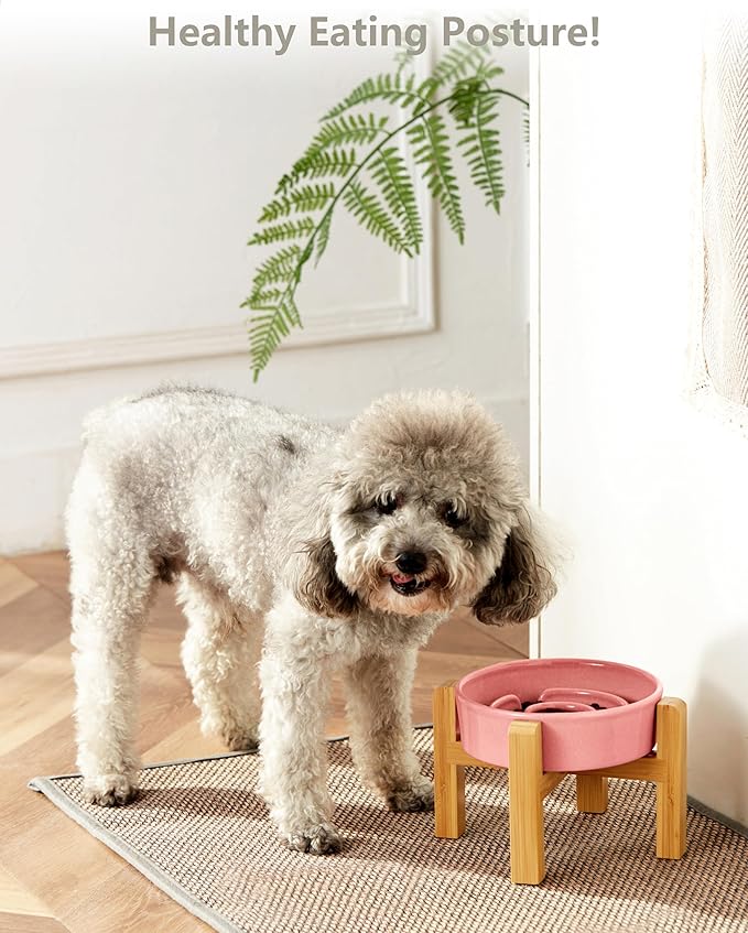 Ceramic Slow Feeder Dog Bowls Elevated, 0.6 Cup Slow Feeder for Small Dogs, Puzzle Maze Bowl, Prevents Choking, 6in, Pink