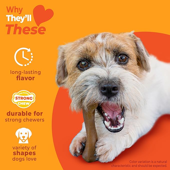 Nylabone Strong Chew Dog Toy 4-Pack Made with Real Bacon, Bison, Venison, Beef, & Chicken, Durable Chew Toys for Aggressive Chewers, Long Lasting Dog Bone, Small Breeds - Up to 25 lbs, 4 Count