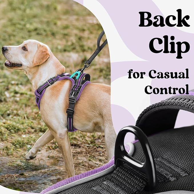 rabbitgoo Dog Harness for Large, No Pull Pet Harness with 3 Buckles, Adjustable Soft Padded Vest with Control Handle, Walking Reflective Pet Vest for Extra Large Dogs, Black & Purple, XL