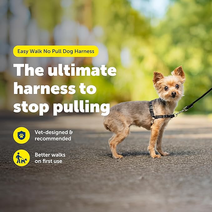 PetSafe Easy Walk No-Pull Dog Harness - The Ultimate Harness to Help Stop Pulling - Take Control & Teach Better Leash Manners - Helps Prevent Pets Pulling on Walks, Petite, Black/Silver