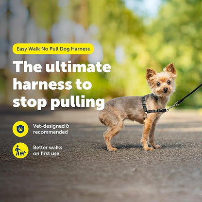 PetSafe Easy Walk No-Pull Dog Harness - The Ultimate Harness to Help Stop Pulling - Take Control & Teach Better Leash Manners - Helps Prevent Pets Pulling on Walks, Petite, Black/Silver