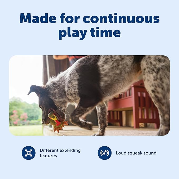 PetSafe Busy Buddy Squeeze Meeze - Fun Latex Dog Toy with Squeaker - for Light Chewers - Turkey