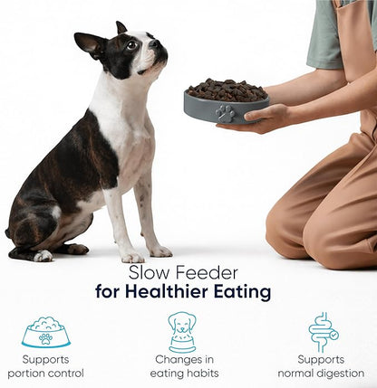 Slow Feeder Dog Bowls – Dog Bowl Slow Feeder – Microwaveable Dog Slow Feeder for All Breeds – Lead and BPA-Free Ceramic Pet Bowl – Pet Feeder for Fast Eaters