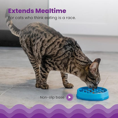 Catstages Kitty Slow Feeder Cat Bowl, Blue (Pack of 2)