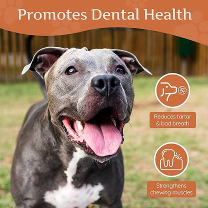 Wildfang® Briar Wood Chewing Root, XXL - Splinter Free Wood Dog Chew Toys for Aggressive Chewer, Odorless Natural Teething Toys Dogs Dental Health, Healthy Gums (for Dogs Over 132 lbs), Pack of 1