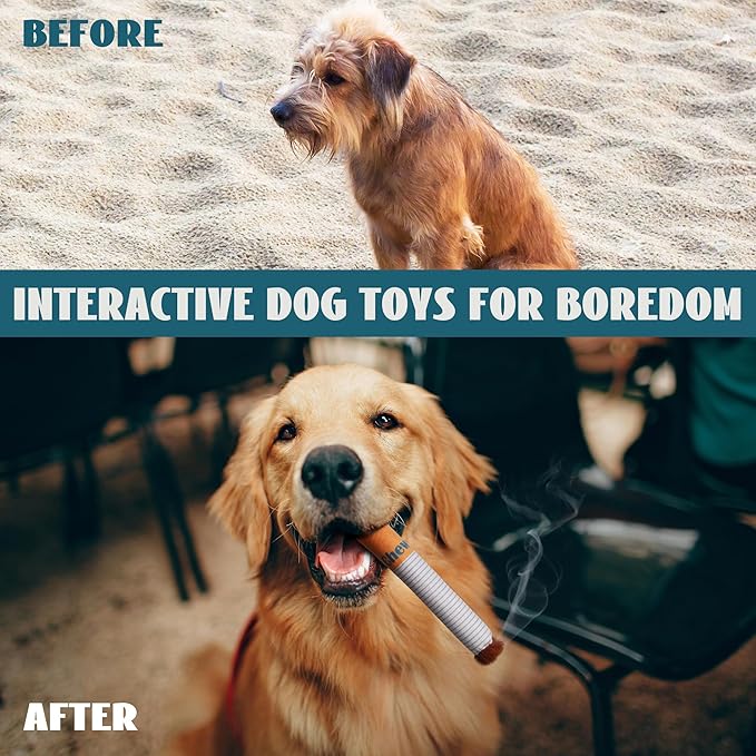 Nocciola Funny Dog Toys for Small Meidum Dogs, Squeaky Entertainment Stuffed Toys for Boredom, Anxiety Relief, Mentally Stimulating, Plush Dog Toys to Keep Busy and Occupied