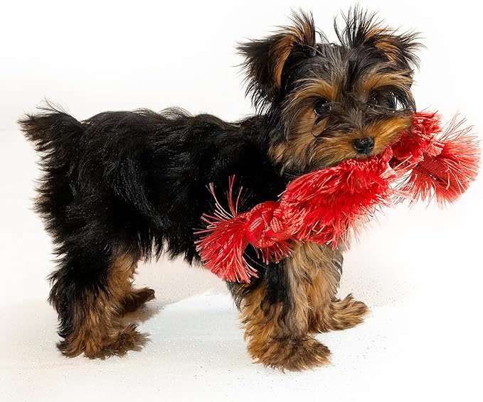 Playology Dog Toys | Puppy Toy Sensory Rope Tug of War Rope for Dogs and Puppies | Small Beef Scented Dog Toy - Easy to Clean and Made from Non Toxic Materials