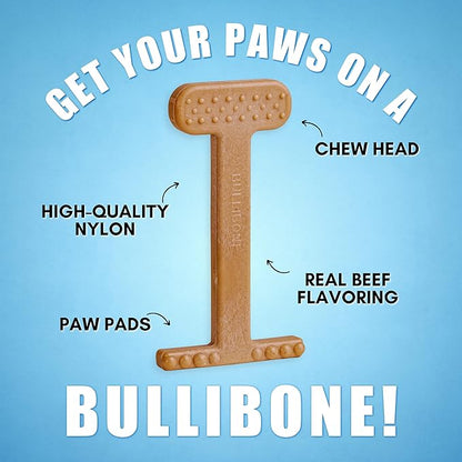 Bullibone Nylon Dog Chew Toy for Aggressive Chewers - Dental Hygiene Bone with Beef Flavor, Durable Tough Chew Toys for Small Dogs, Indestructible Dog Bone - 3 Pack
