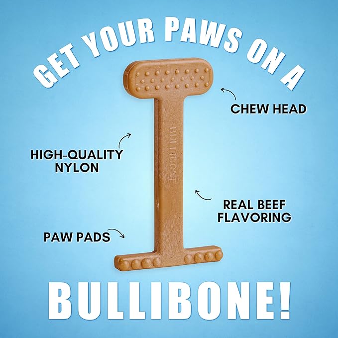 Bullibone Nylon Dog Chew Toy for Aggressive Chewers - Dental Hygiene Bone with Beef Flavor, Durable Tough Chew Toys for Extra Large Dogs, Indestructible Dog Bone - 3 Pack