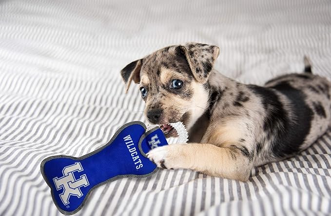 Pets First NCAA Kentucky Wildcats Dental Dog TUG Toy with Squeaker. Tough PET Toy for Healthy Fun, Teething & Cleaning Pets Teeth & Gum