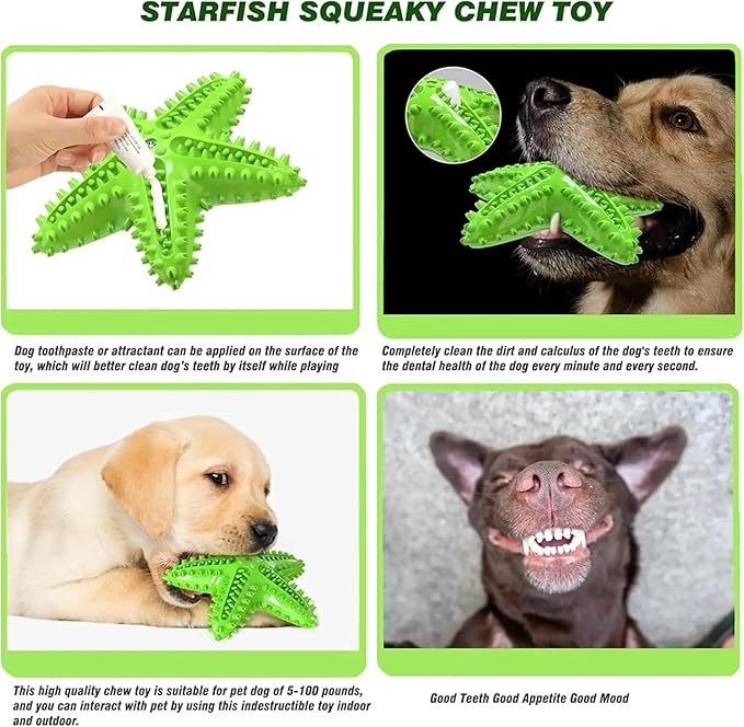 Pupix Chew Toy for Dog Aggressive Chewers Toothbrush Stick Pets Interactive Toys Tough Puppy Chew Treats for Small Medium Dogs Toy to Keep Them Busy, Green