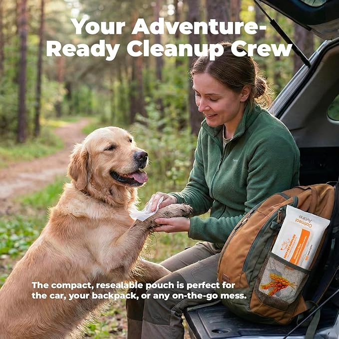 Best Pet Supplies 8" x 9" Large Unscented Dog Wipes - Cleaning and Deodorizing for Paws and Coat - Gentle Formula with Oatmeal Vitamin E for Puppies and Cats - 100 Count