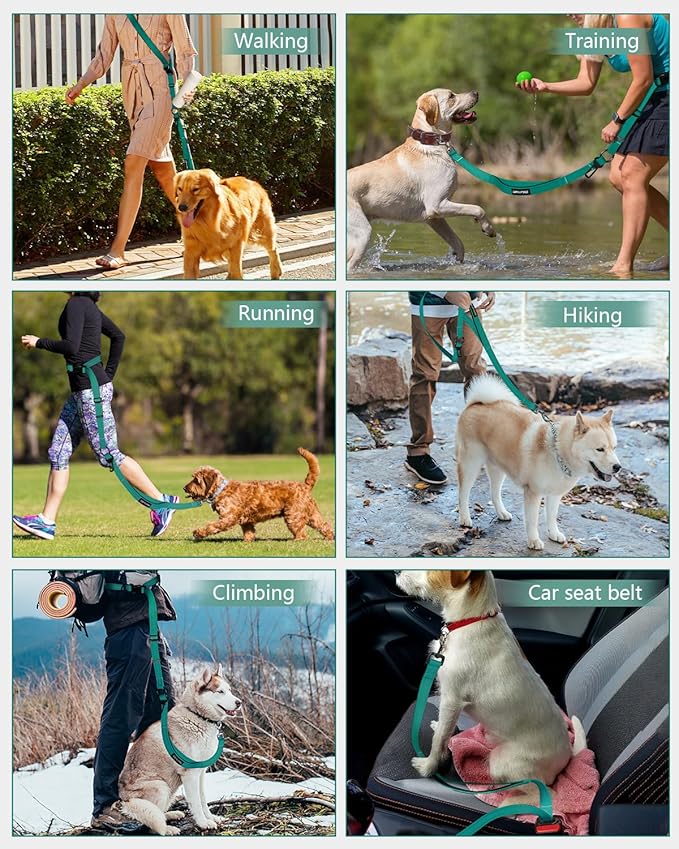 Hands Free Dog Leash, Multifunctional Crossbody Dog Leash, 5.9-9.5Ft Long Waist Belt with Car Seatbelt and Double-Sided Reflective Stitches for Medium and Large Dogs Walking, Jogging(Green)