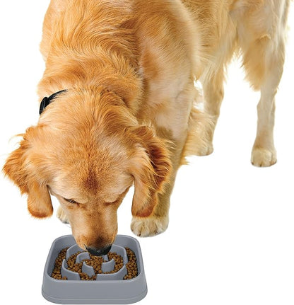 Dexas Seek and Snack Slow Feeder Maze with Non Slip Feet, 4 Cup Capacity, Gray, (PW304429)